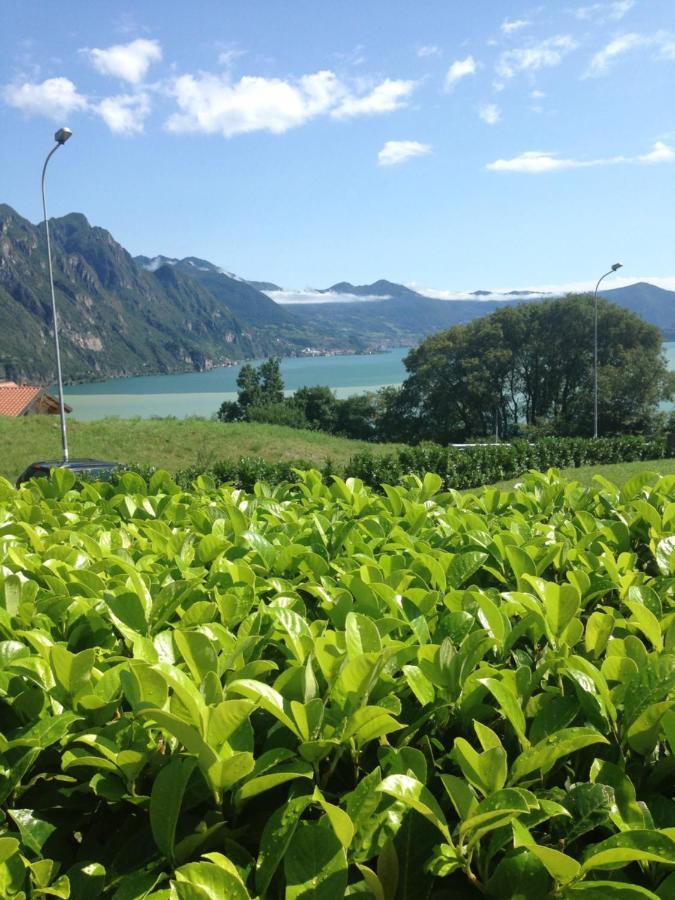 Villa Mirella: Casa Vista Lago Con Piscina Riva di Solto Bagian luar foto